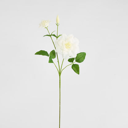 Clematis Flower White 72cm