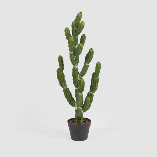Potted Cactus 98cm