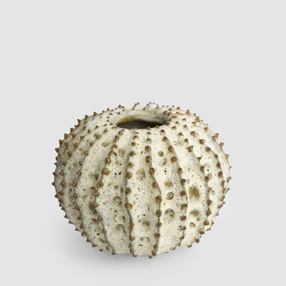 Spiked Cactus Ceramic Moss Vase Natural