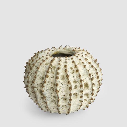 Spiked Cactus Ceramic Moss Vase Natural