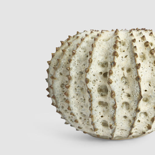 Spiked Cactus Ceramic Moss Vase Natural