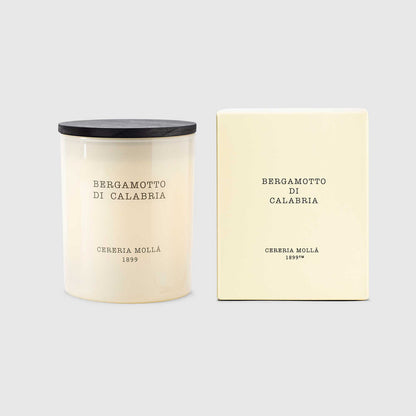 Velvet Wood Premium Candle 230g