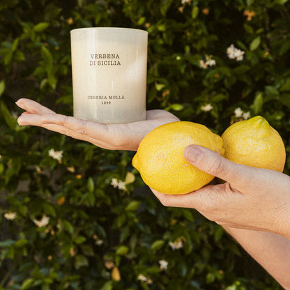 Verbena di Sicilia Premium Candle 230g