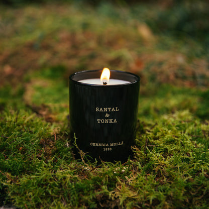 Santal & Tonka Premium Candle 230g