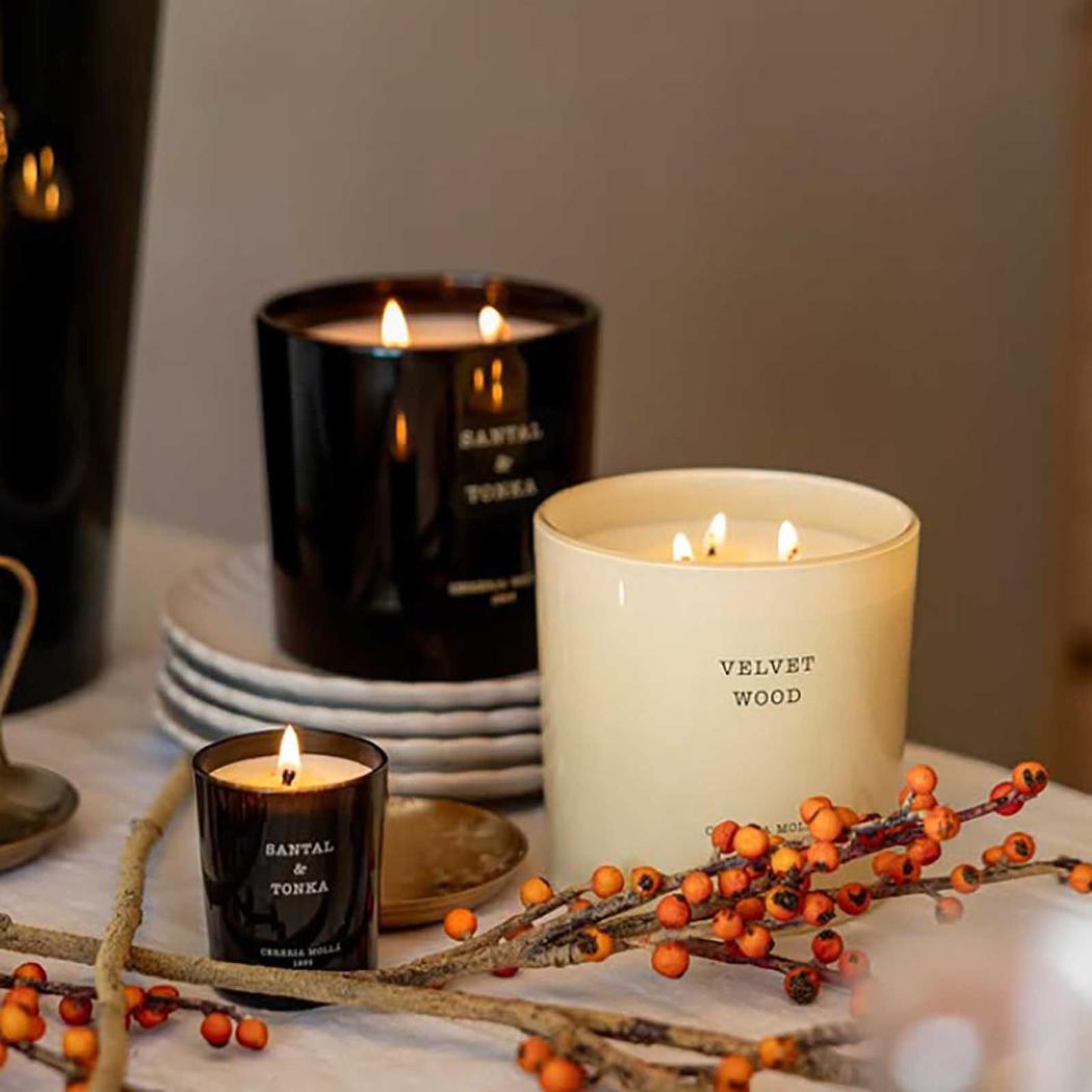 Velvet Wood Premium Candle XL 600gr