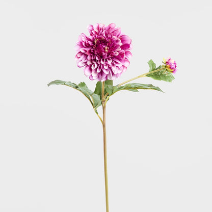Dahlia Short Stem 50cm Purple