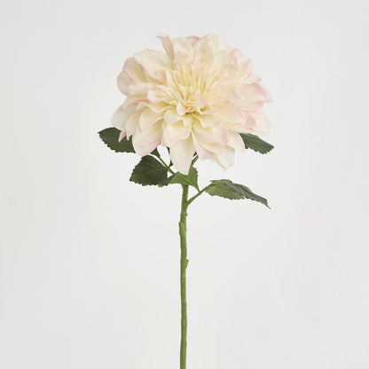Giant Dahlia Stem 70cm Ice Pink