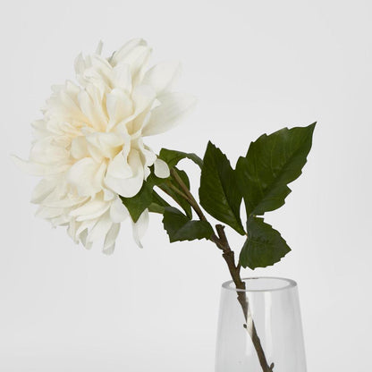 Giant Dahlia Stem