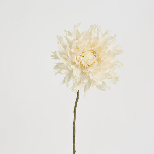 Dahlia Spray 56cm Cream