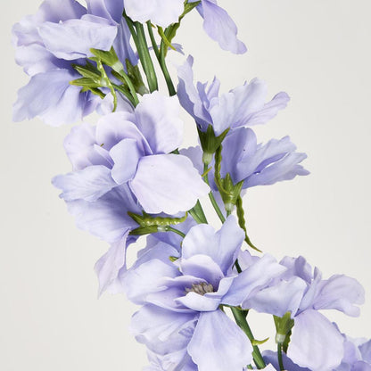 Bella Single Head Delphinium Lavender