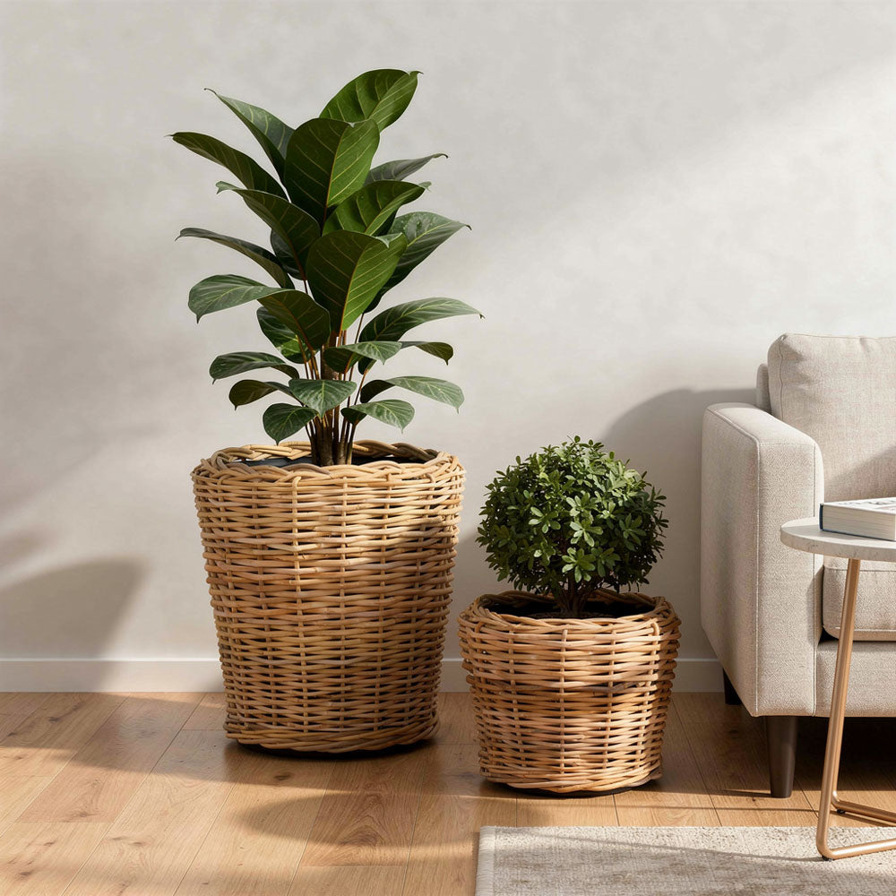 Round Rattan Basket Set of 2 Natural