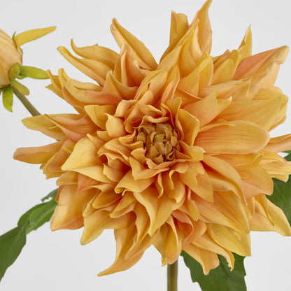 Dahlia Flower Real Touch Stem 74cm Orange