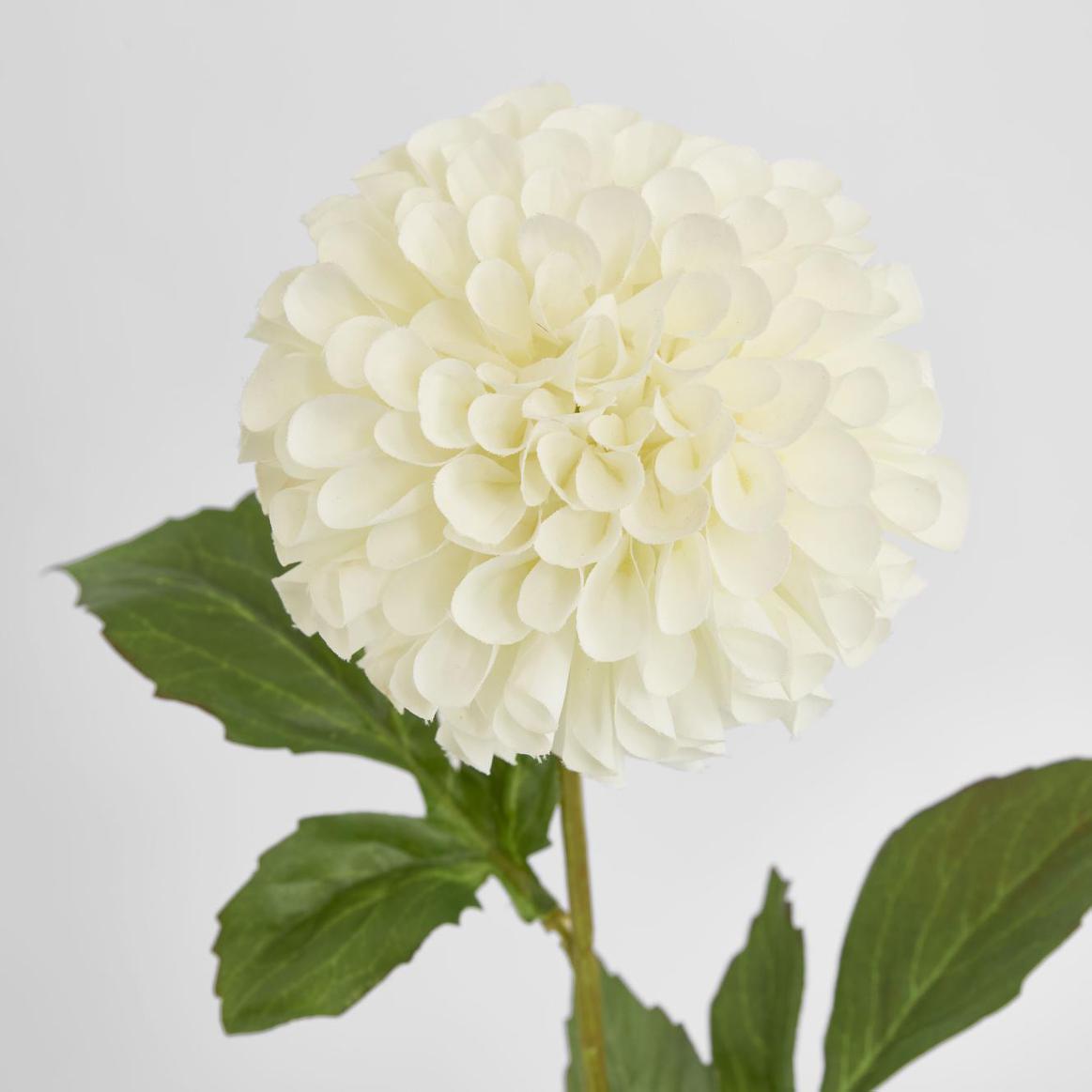 Pompom Ball Dahlia Stem 62cm Cream