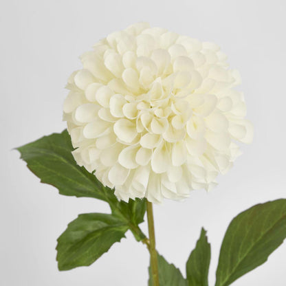Pompom Ball Dahlia Stem 62cm Cream
