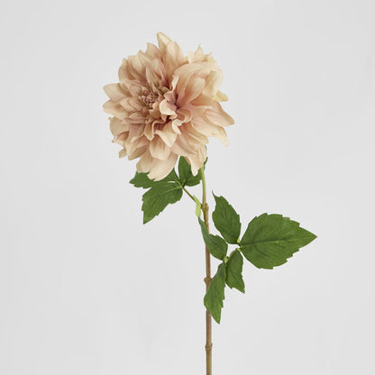 Dried Look Dahlia Stem Large 61cm Light Pink