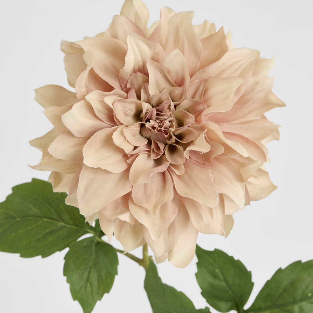 Dried Look Dahlia Stem Large 61cm Light Pink