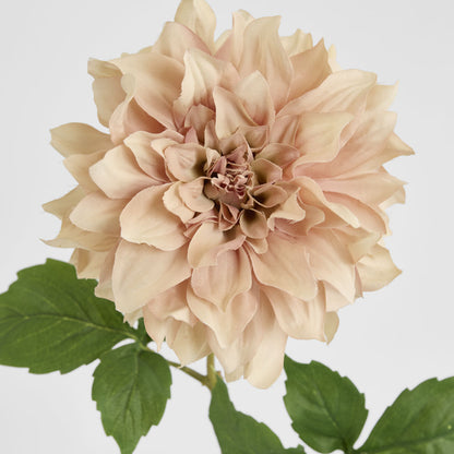Dried Look Dahlia Stem Large 61cm Light Pink