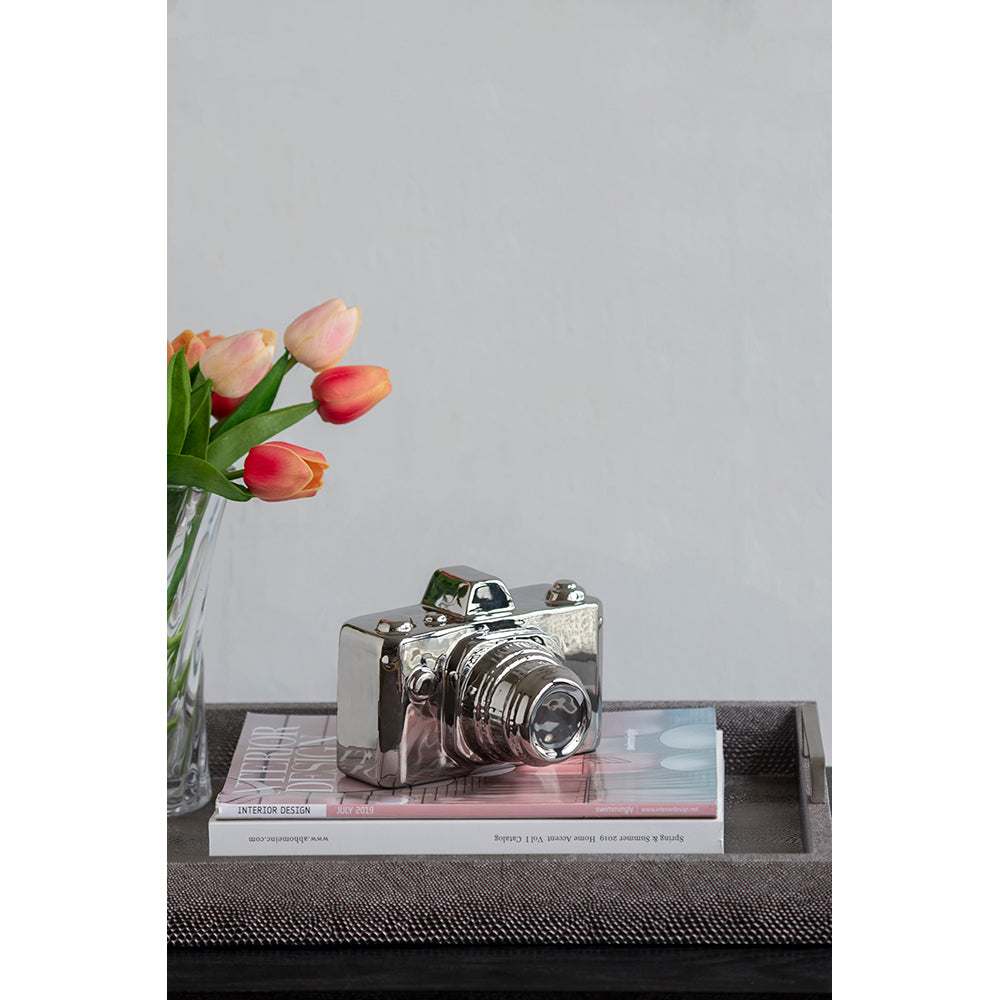 Kodak Camera Silver