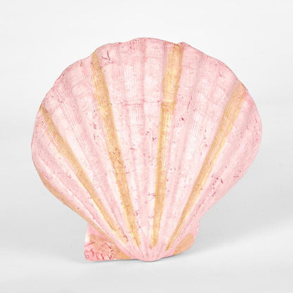 Sadie Pink Shell 13.5X12.5X5CM