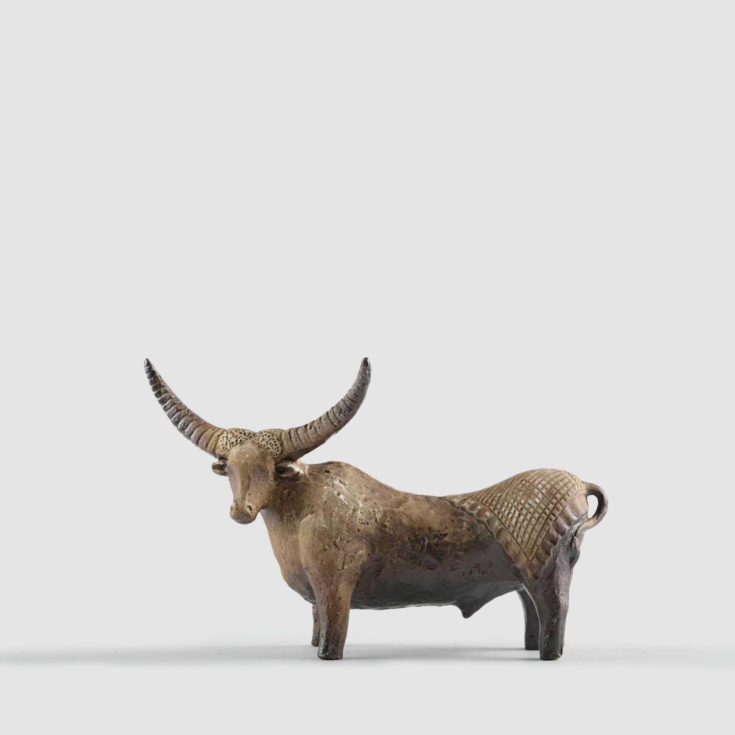 Angus Ceramic Bull Short