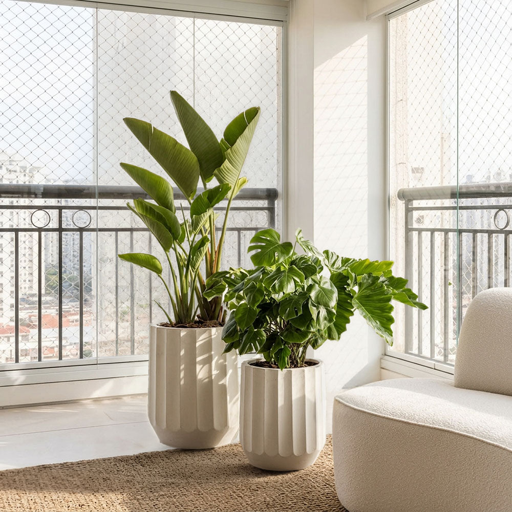Ripple Planter Set of 2 White