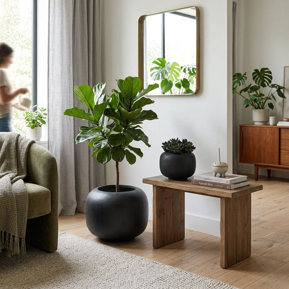 Sphere Planter Set of 2 Black