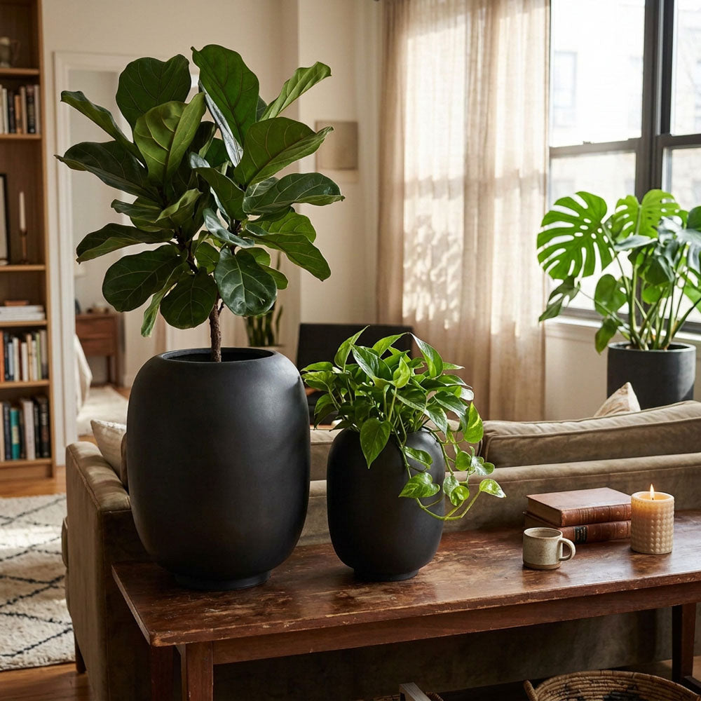 Sphere Tall Planter Set of 2 Black
