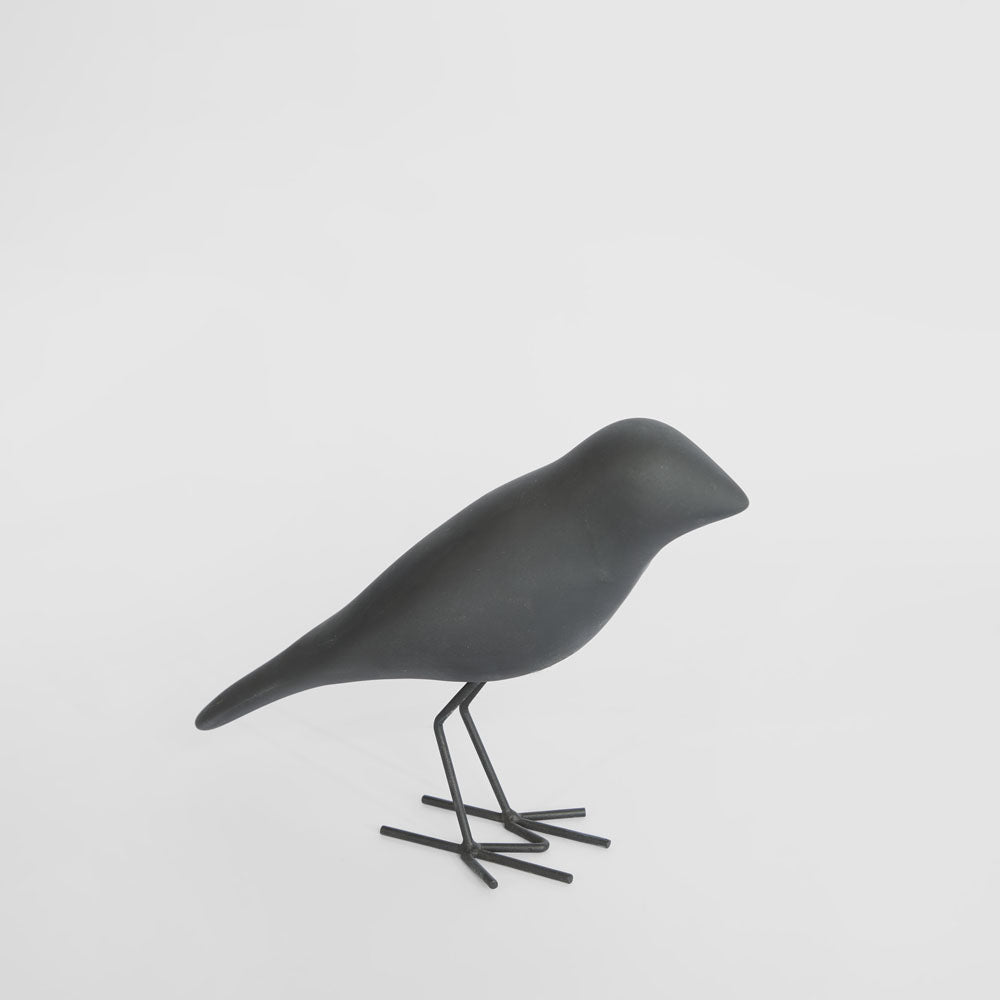 Starling Velvet Stone Bird Black