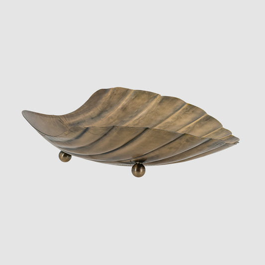 Bree Shell Ornaments