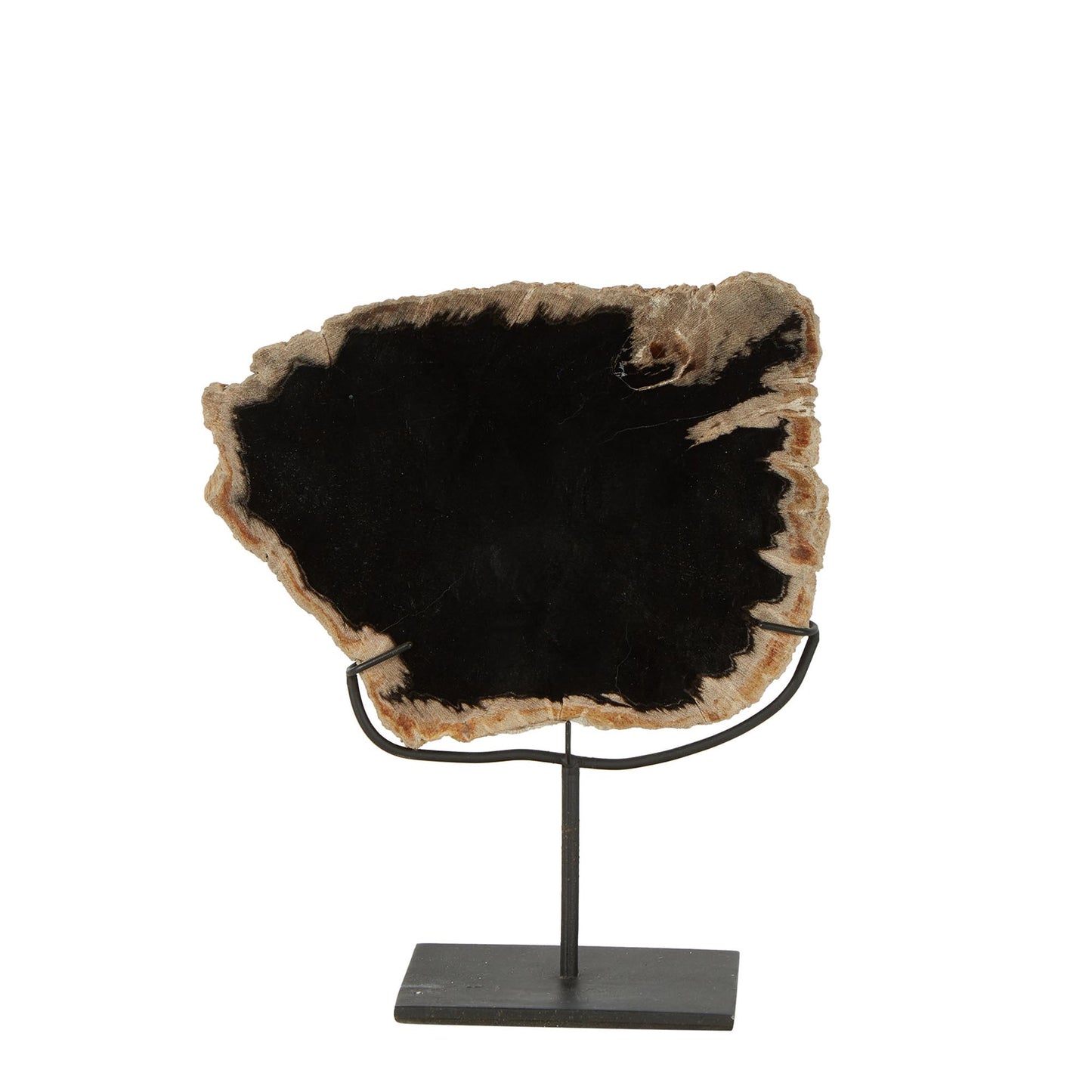 Tanah Petrified Wood Sculpture