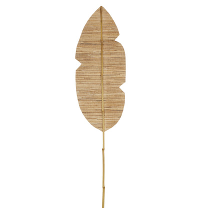 Aria Large Fan Palm Natural