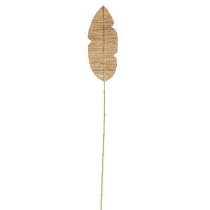 Aria Large Fan Palm Natural
