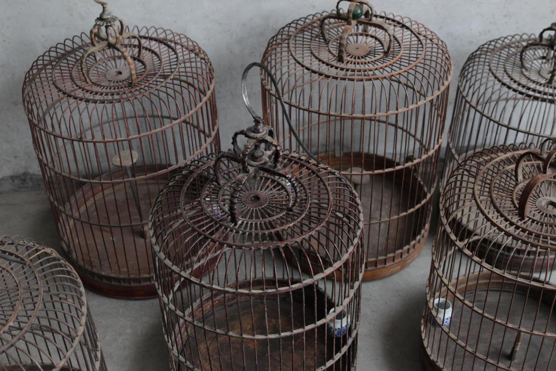 Beijing Birdcage Large