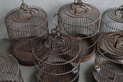 Beijing Birdcage Large