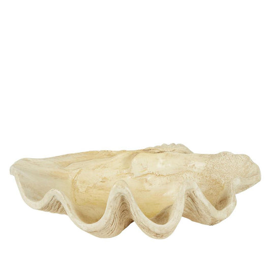 Giant Clam Sculpture Natural