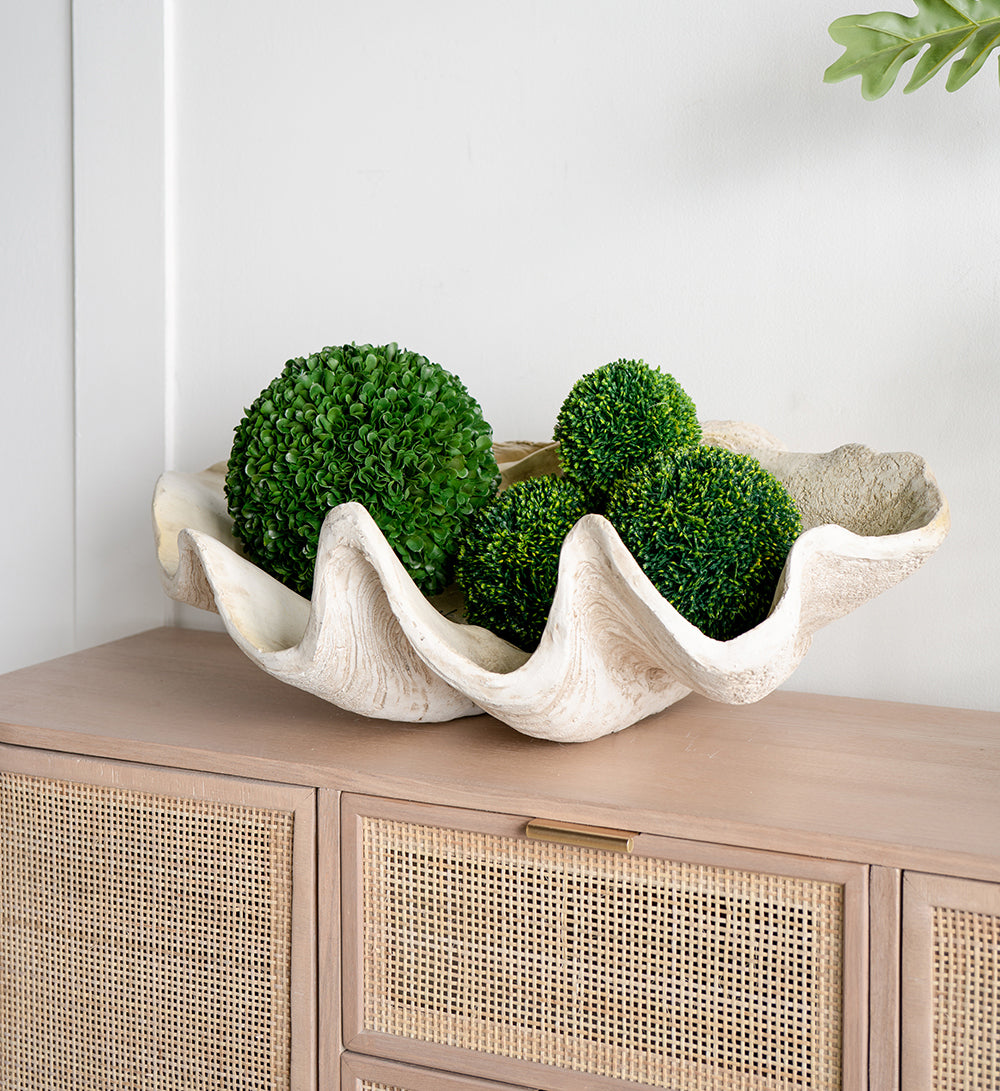 Giant Clam Sculpture Natural