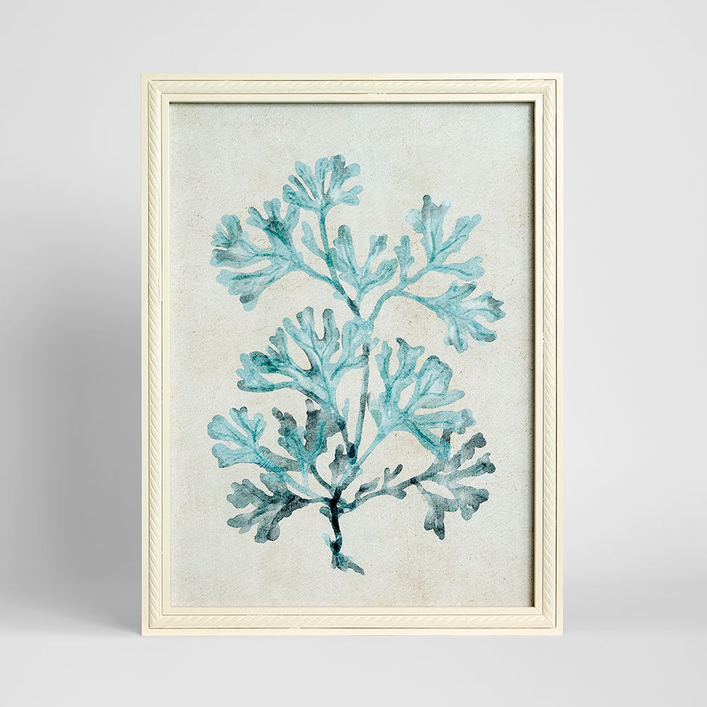 Blue Coral Study 1 Wall Art 45x60cm