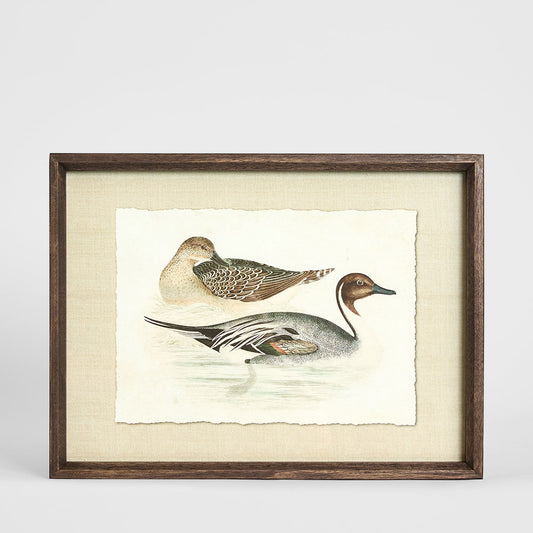Wetland Pair B Wall Art 40x30cm