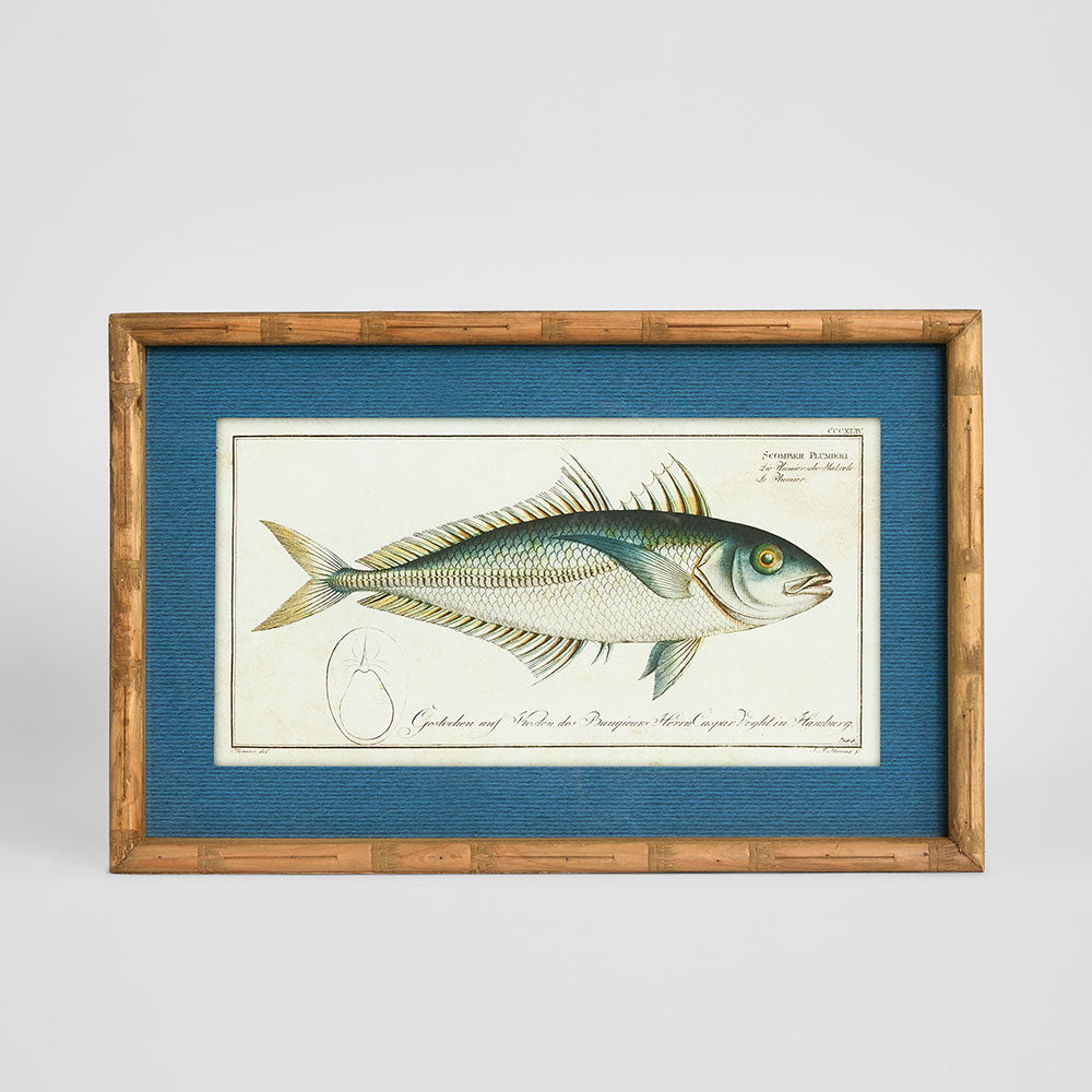 Oceanic Study 1 Wall Art 60x32cm
