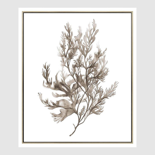 Coastal Botanical A Wall Art 52.5 x 62.5cm