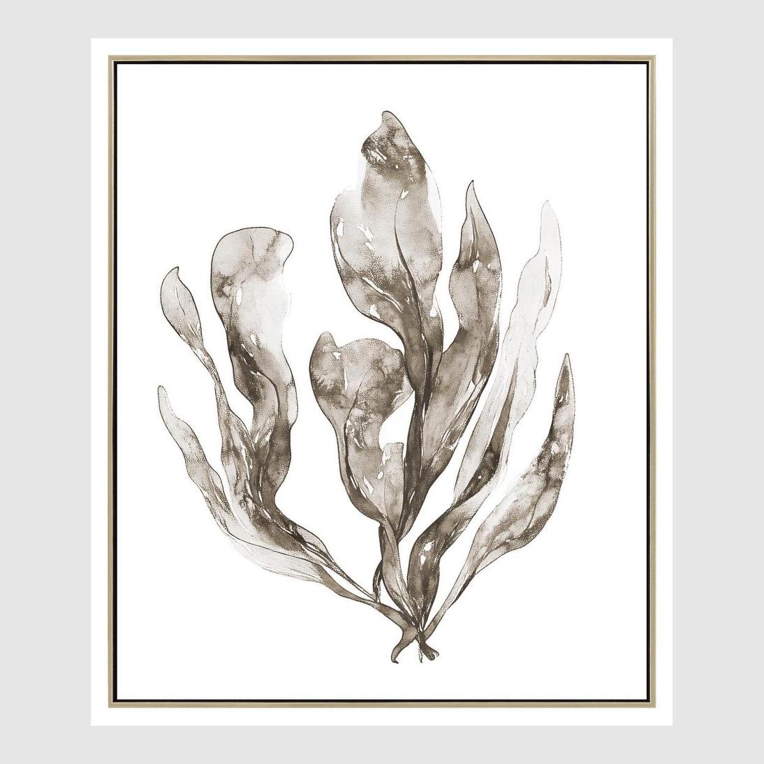 Coastal Botanical B Wall Art 52.5 x 62.5cm