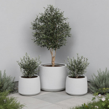 Vita Set of 3 Planter White