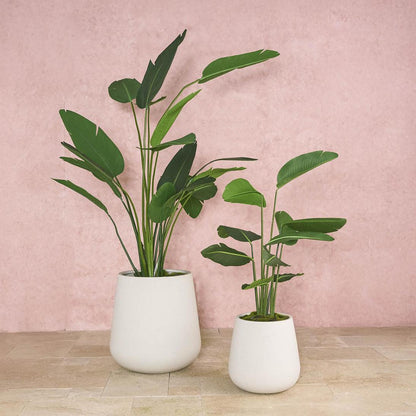 Quincy Planter Set of 3 White