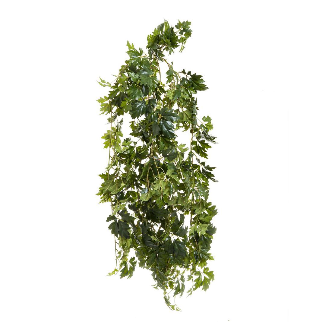 Hanging Cissus Bush 1.10m