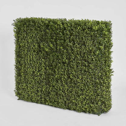Boxwood Hedge 75x100cm