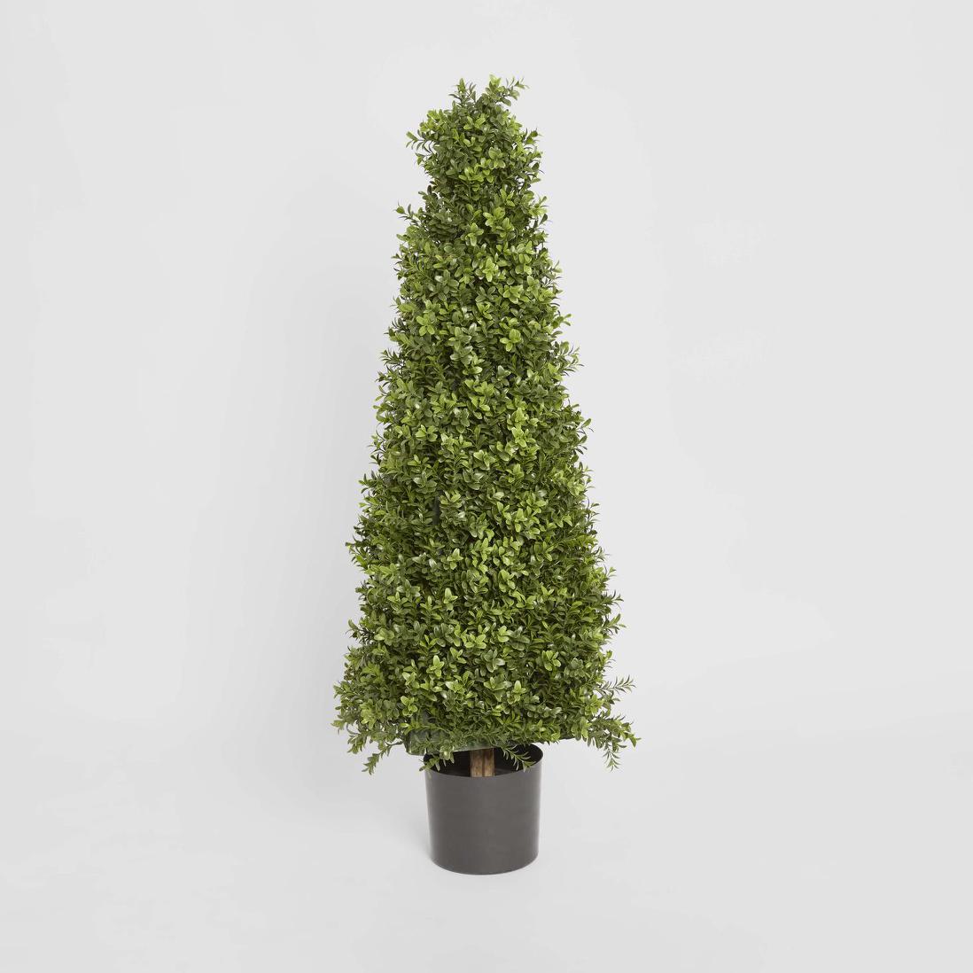 Pyramide Tree Boxwood Pyramid Tree 1m | Tree Creations – Florabelle Living