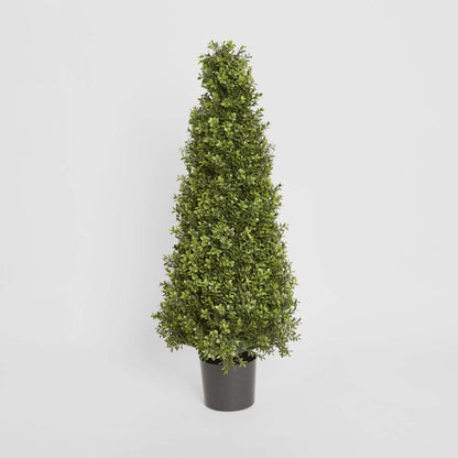 Boxwood Pyramid Tree 1m