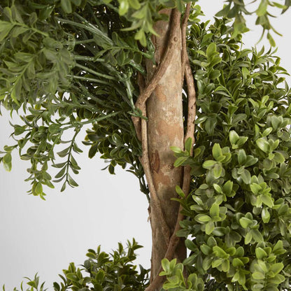 Boxwood Spiral Tree Budget 1.4m