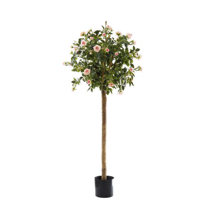 Diamond Rose Ball Tree Pink 105cm