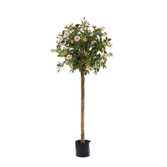 Diamond Rose Ball Tree Pink 105cm
